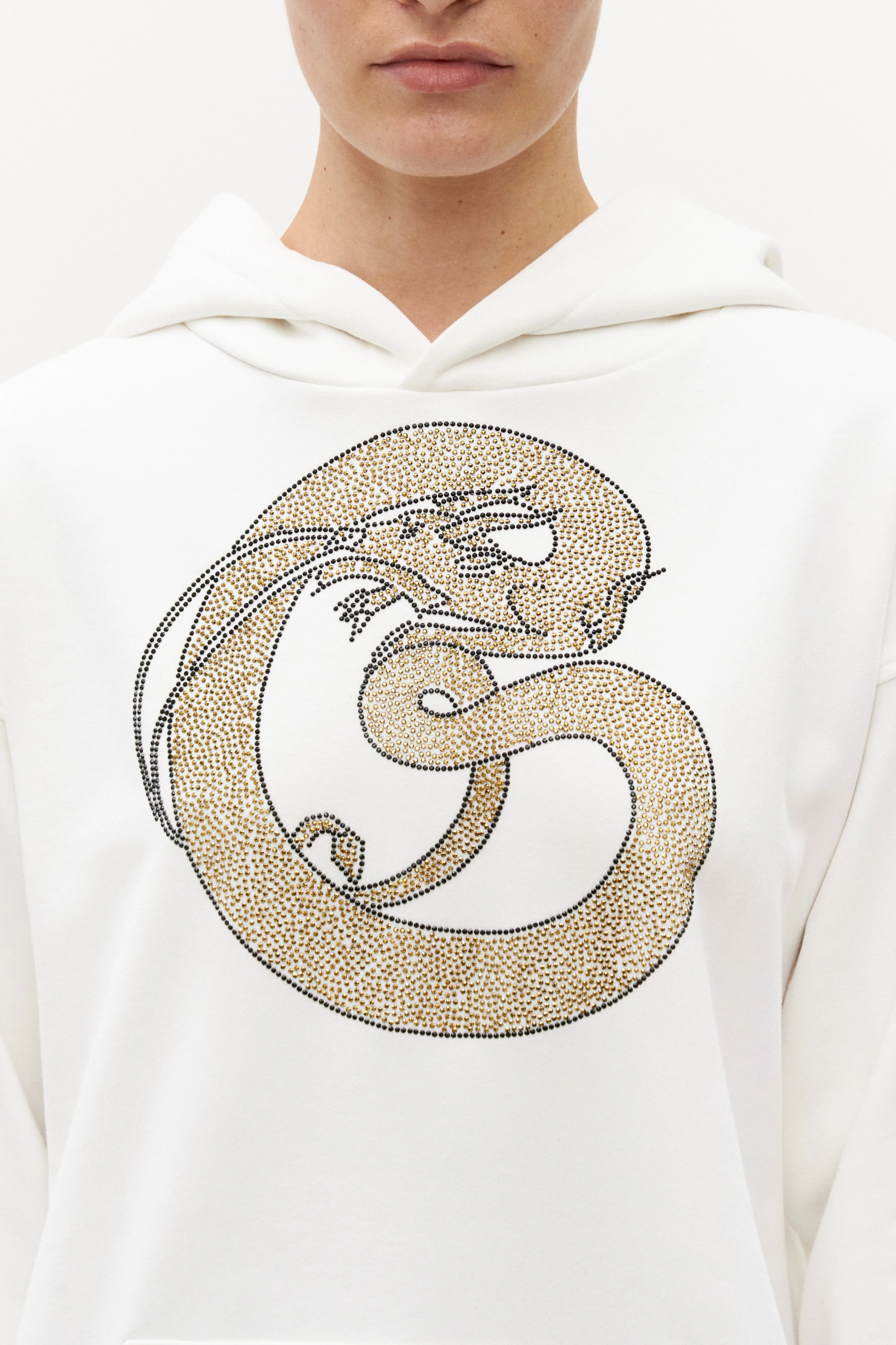 Hoodie "Dragon" crystal